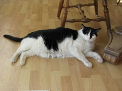 loomis_003