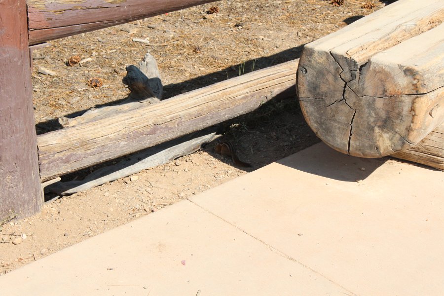 7E0D78F0-B347-455F-B5D4-B3F804EDEB0E