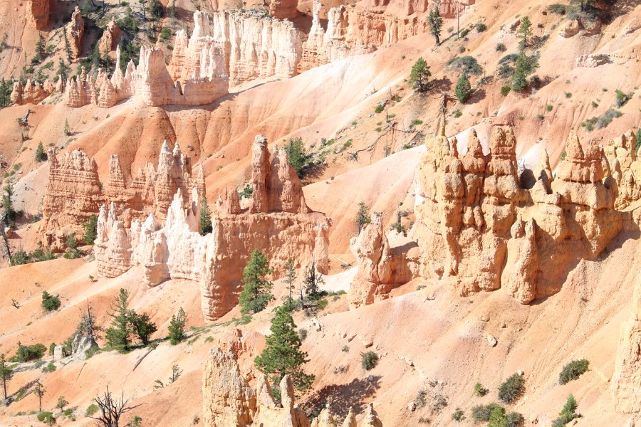 EFA40308-9D57-4AFD-987E-CE572ED4C773