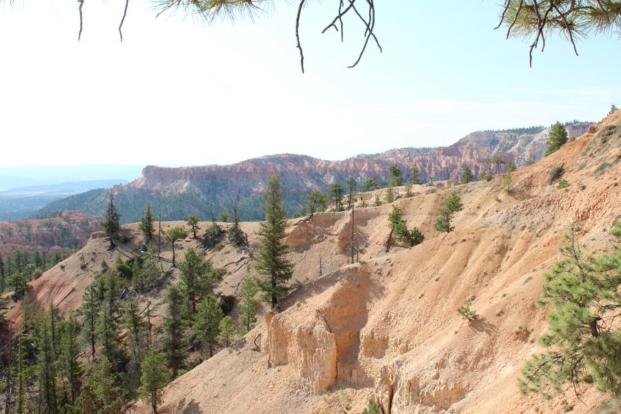 F5FAFB71-20CB-4C9C-8D77-78684D3F157A