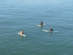 IMG_0017