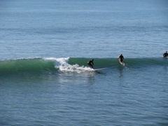 IMG_0029